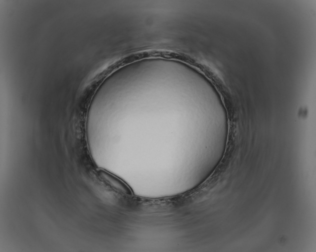 X0000091861159200710031655