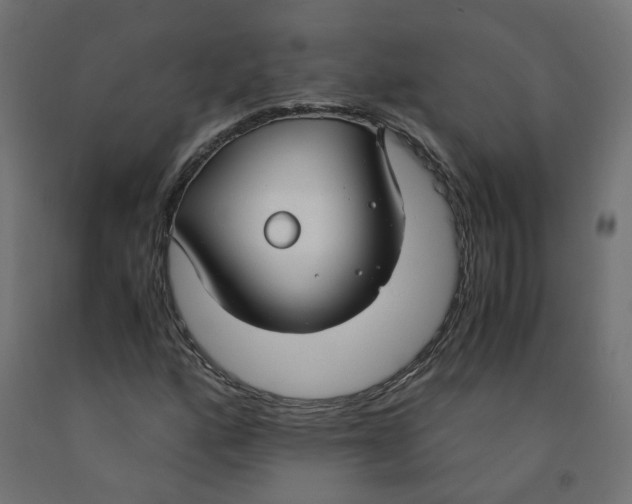 X0000091861160200710031655