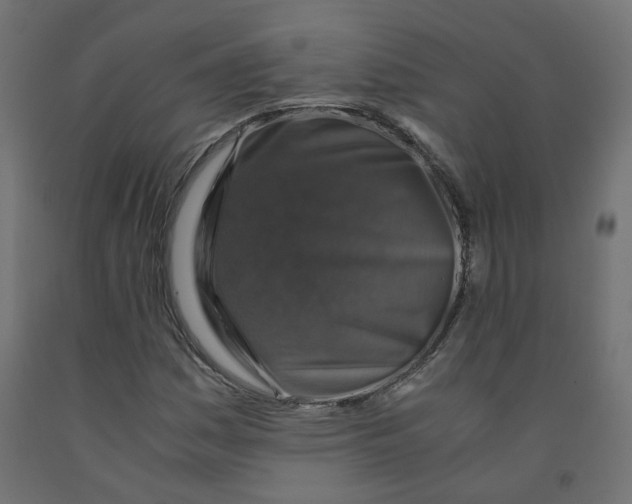 X0000091861161200710031655