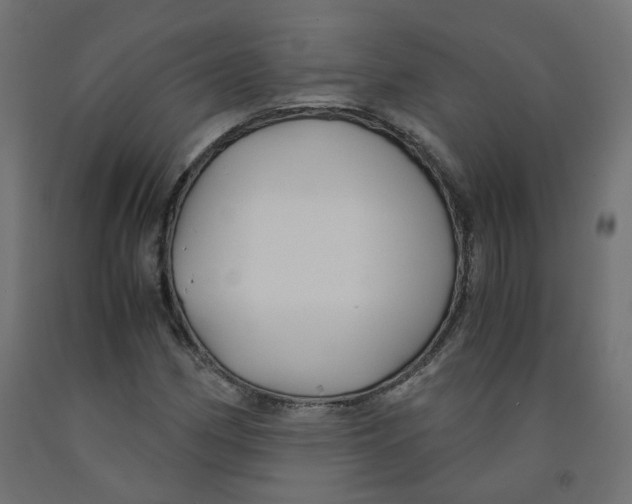 X0000091861162200710031655