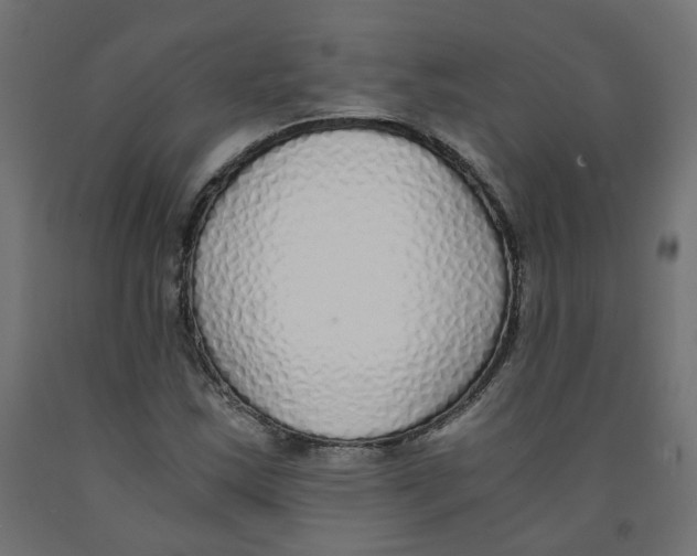 X0000091861163200710031655