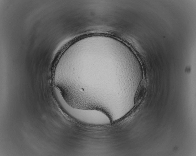 X0000091861164200710031655