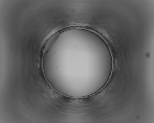 X0000091861165200710031655