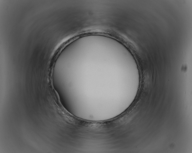 X0000091861166200710031655