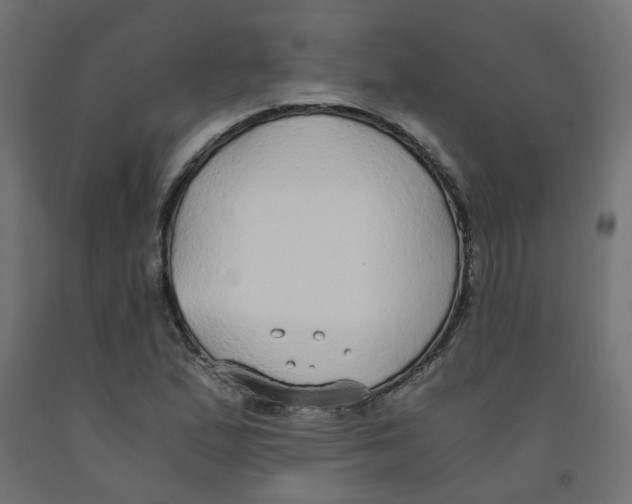 X0000091861167200710031655