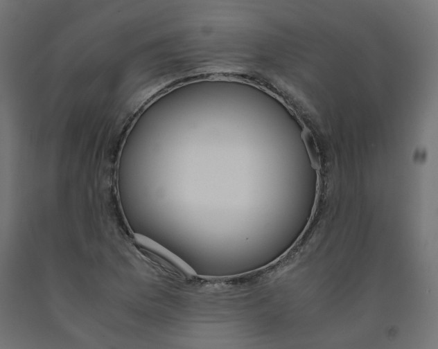 X0000091861169200710031655