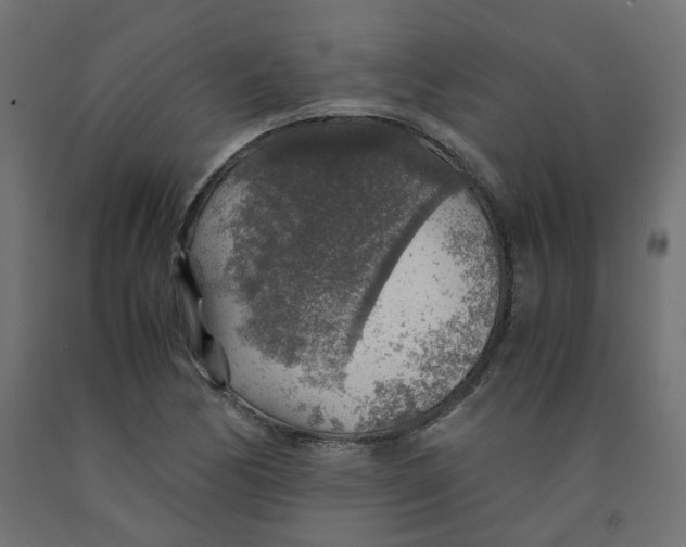 X0000091861170200710031655