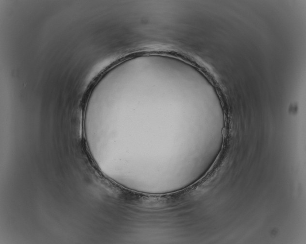 X0000091861171200710031655