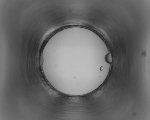 X0000091861172200710031655