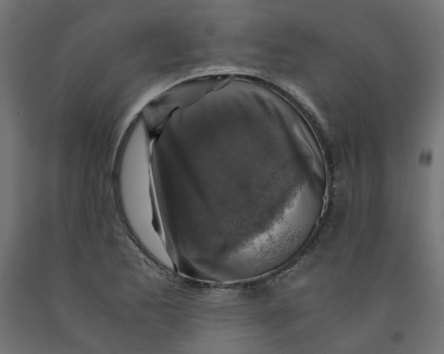 X0000091861173200710031655