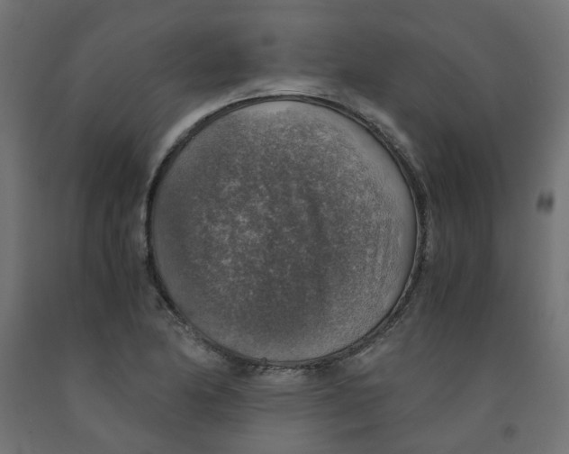 X0000091861174200710031655