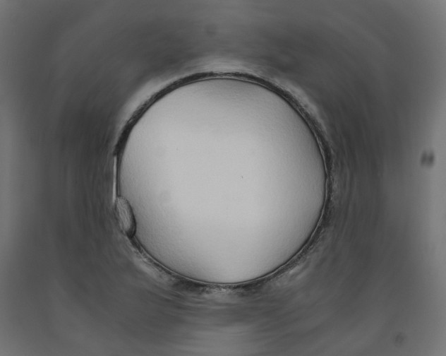 X0000091861175200710031655