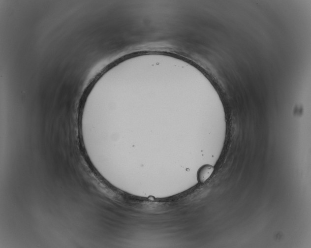 X0000091861176200710031655