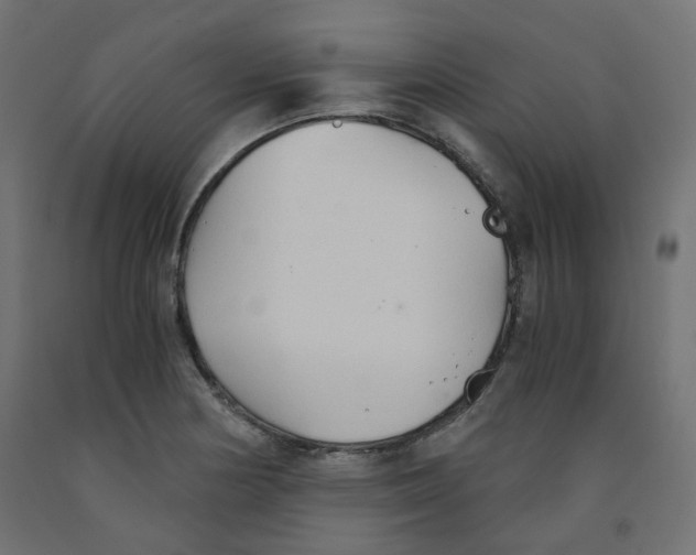 X0000091861178200710031655