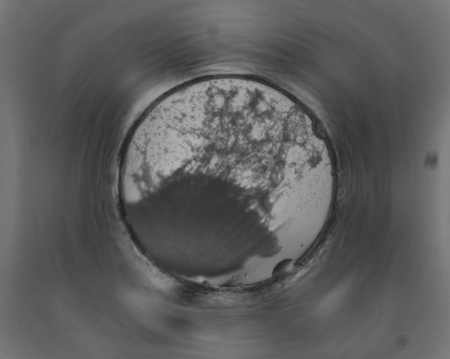 X0000091861179200710031655