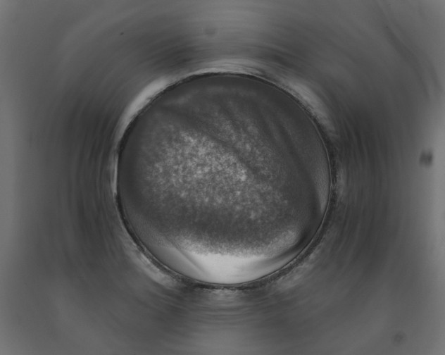 X0000091861180200710031655