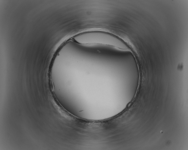 X0000091861181200710031655