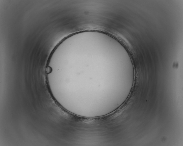 X0000091861182200710031655