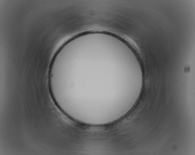 X0000091861183200710031655