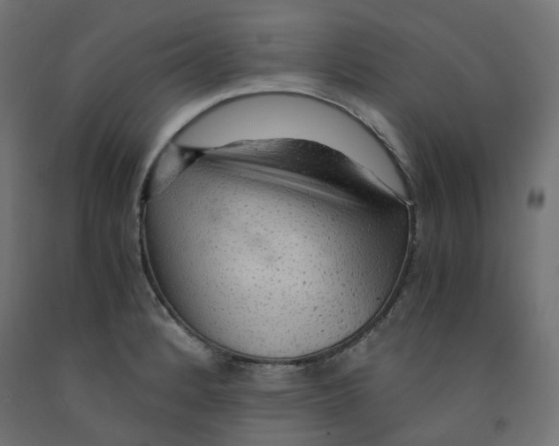 X0000091861184200710031655