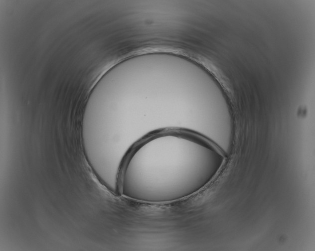 X0000091861185200710031655