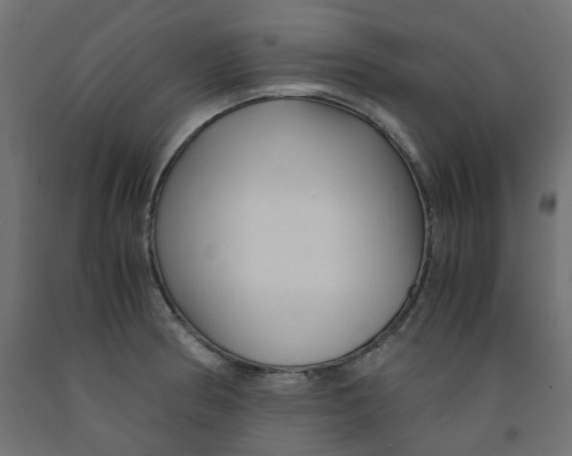 X0000091861186200710031655