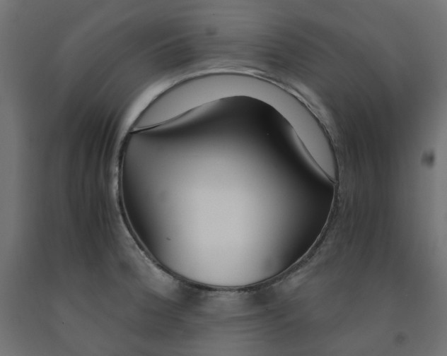 X0000091861188200710031655