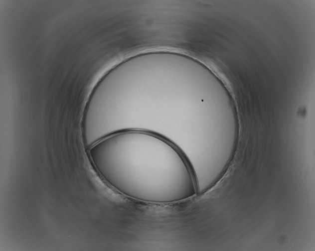 X0000091861189200710031655