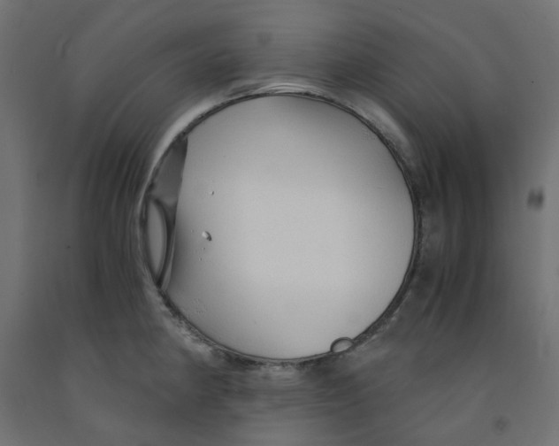 X0000091861190200710031655