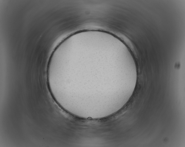 X0000091861191200710031655