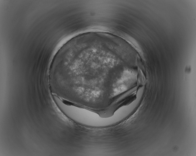 X0000091861192200710031655