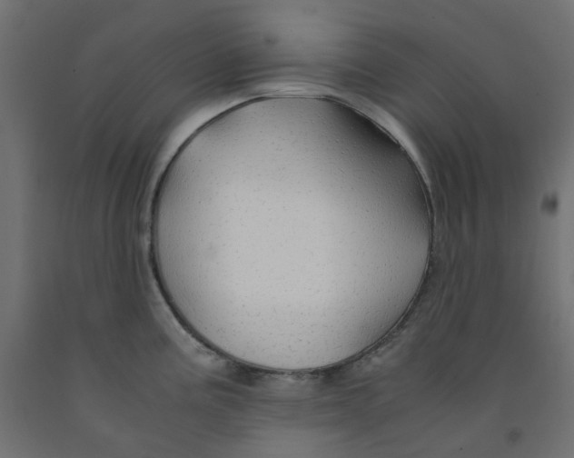 X0000091861195200710031655