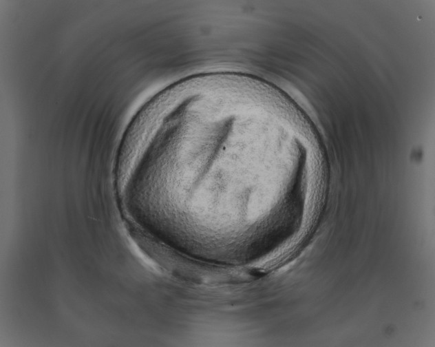 X0000091861197200710031655