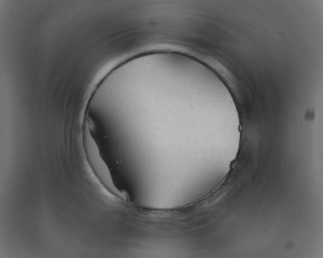 X0000091861199200710031655