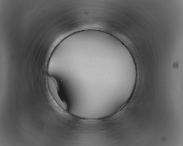 X0000091861200200710031655