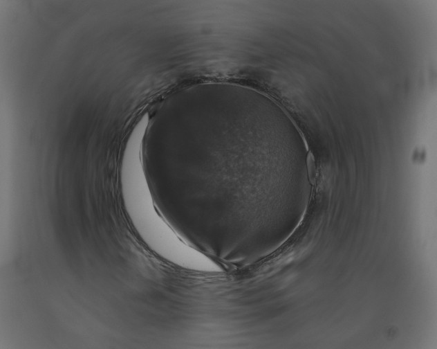 X0000091861202200710031654