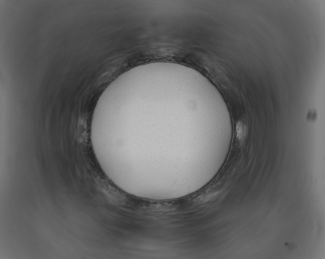 X0000091861203200710031654