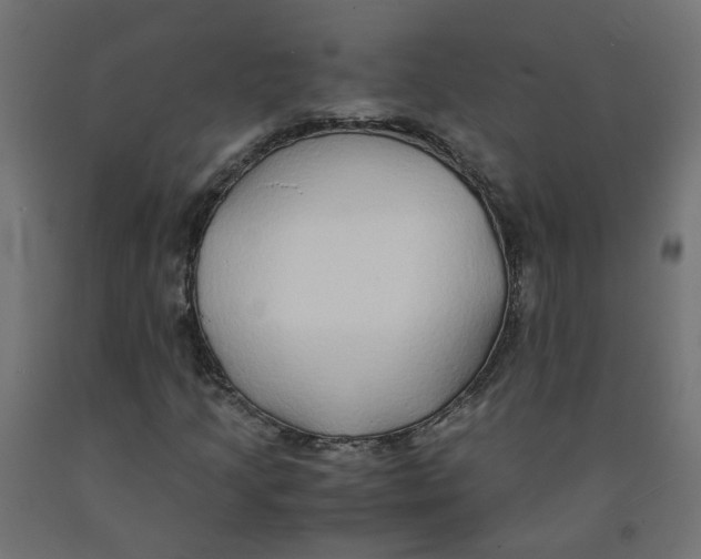 X0000091861205200710031654