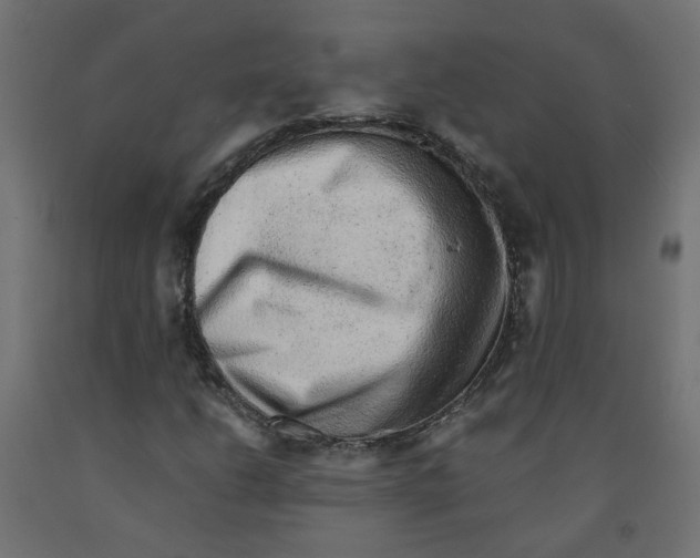 X0000091861206200710031654