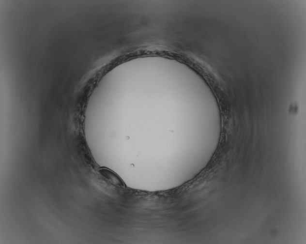 X0000091861207200710031654