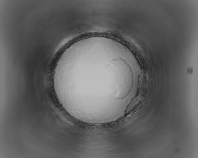 X0000091861208200710031654