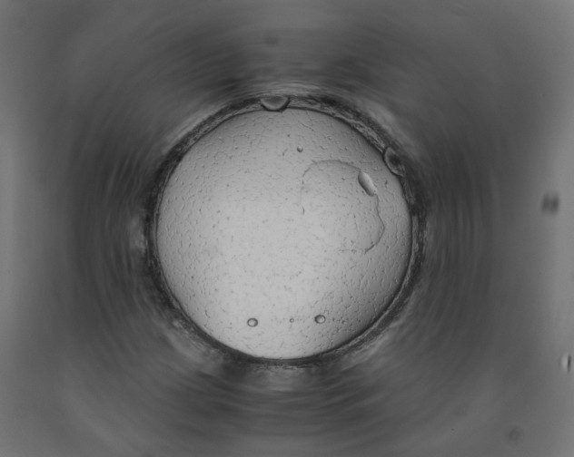 X0000091861209200710031654