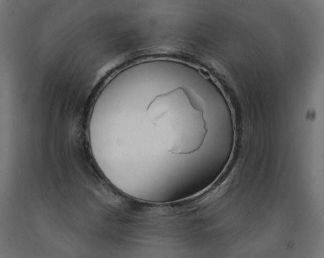 X0000091861210200710031654