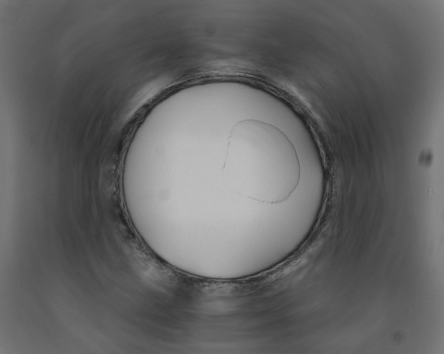 X0000091861211200710031654