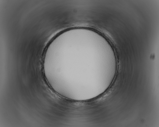 X0000091861212200710031654