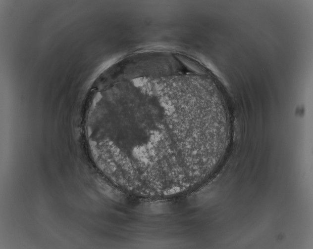 X0000091861213200710031654