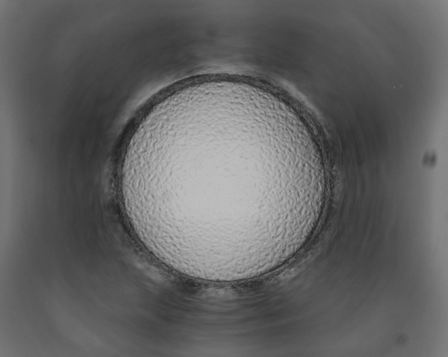 X0000091861215200710031654