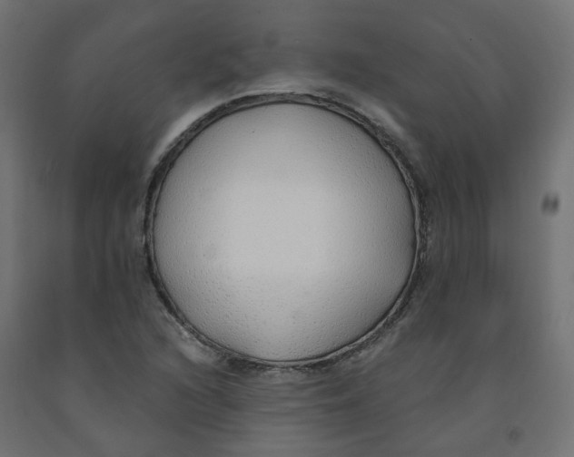 X0000091861216200710031654