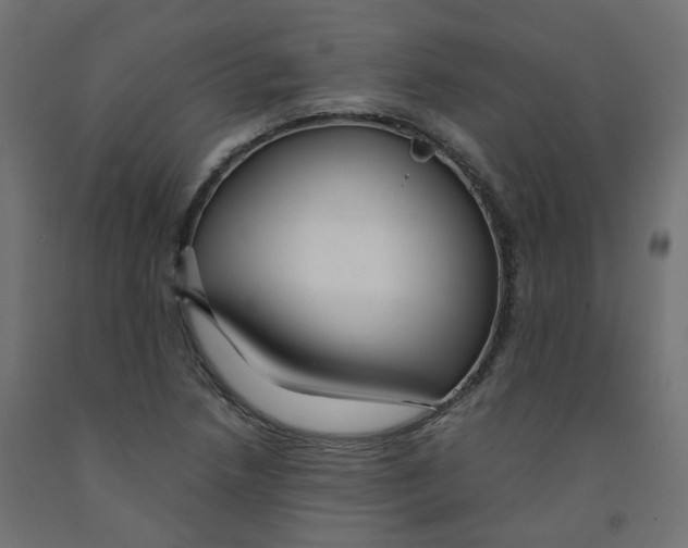 X0000091861218200710031654