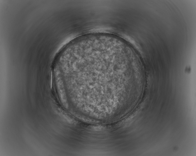 X0000091861219200710031654